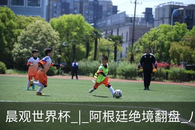 晨观世界杯 | 阿根廷绝境翻盘 八强全部产生