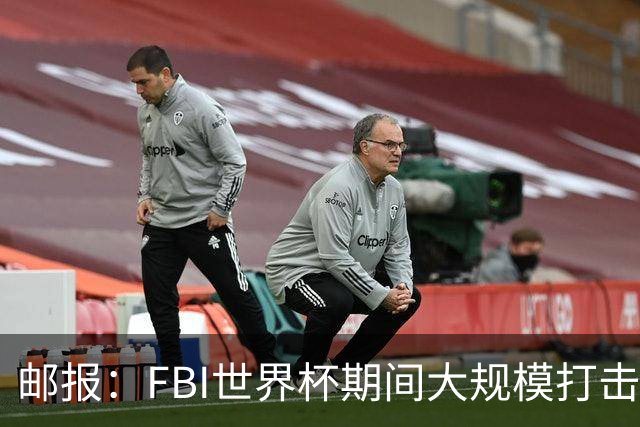邮报：FBI世界杯期间大规模打击无人机活动，一名非法移民被捕